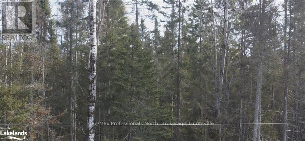 0 Bucko Mcdonald Drive, Strong, Ontario  P0A 1Z0 - Photo 6 - X10437249