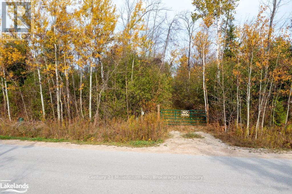Lot 26 Delphi Lane, Blue Mountains, Ontario  N0H 2P0 - Photo 11 - X10437443