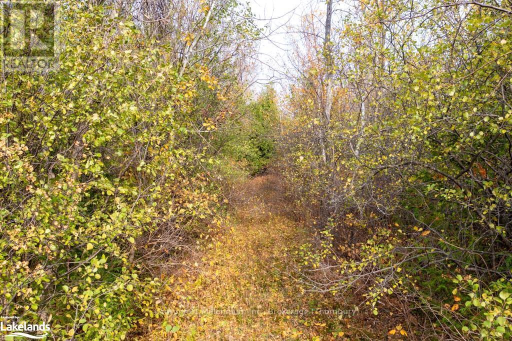 Lot 26 Delphi Lane, Blue Mountains, Ontario  N0H 2P0 - Photo 13 - X10437443