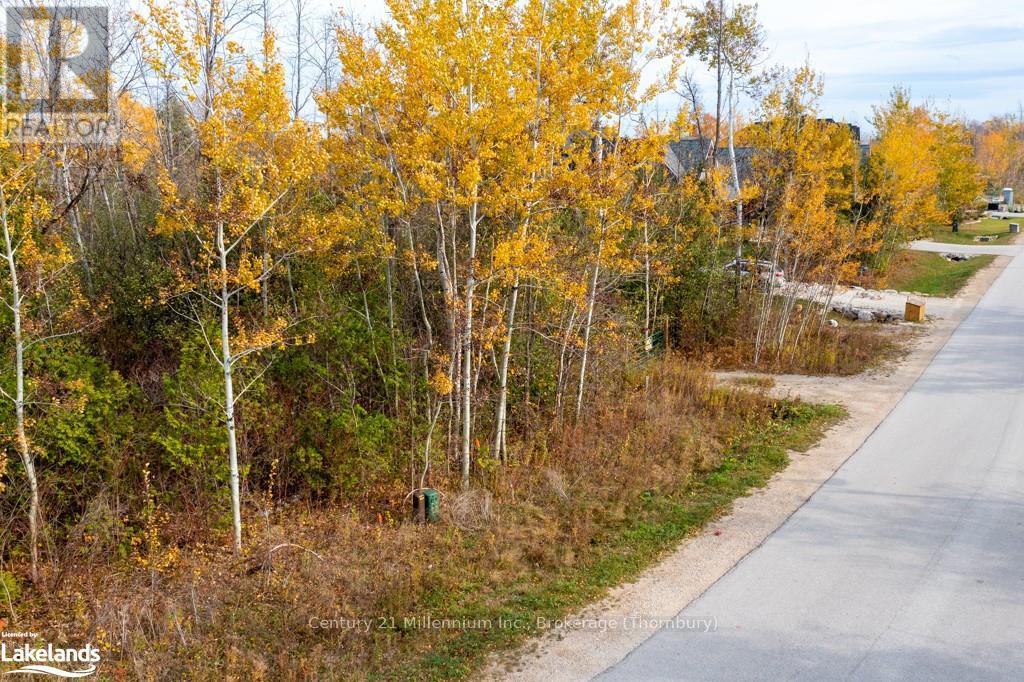 Lot 26 Delphi Lane, Blue Mountains, Ontario  N0H 2P0 - Photo 9 - X10437443