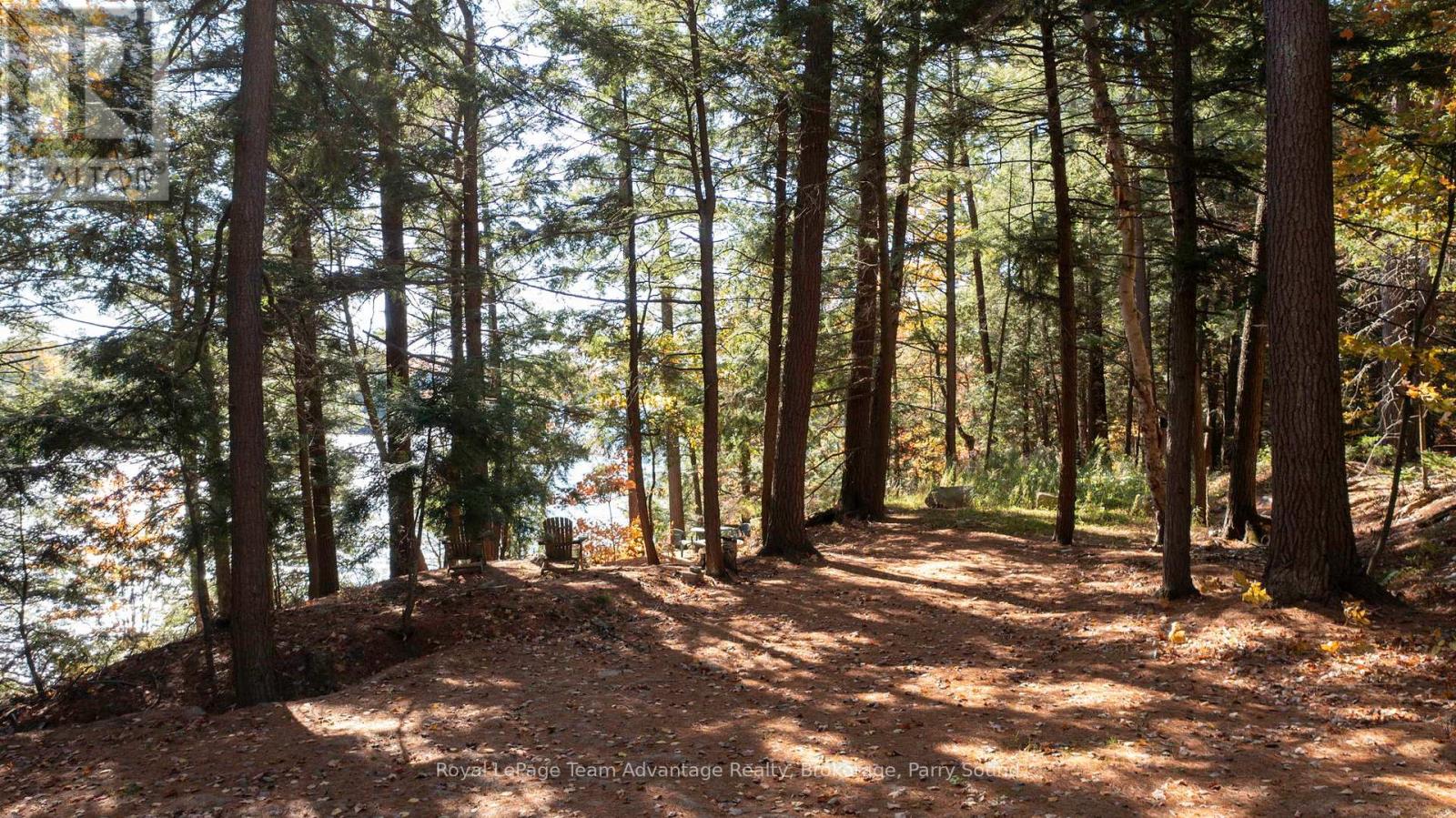 81 Amorak Trail, Whitestone, Ontario  P0A 1G0 - Photo 4 - X10438383