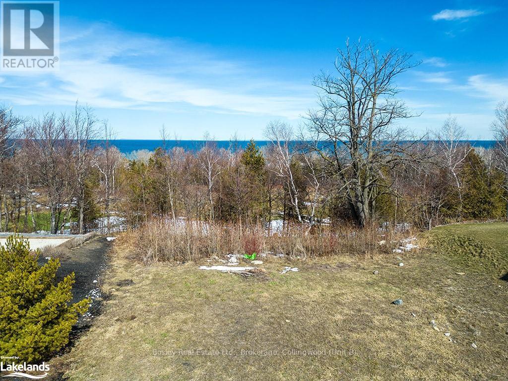 131 West Ridge Drive, Blue Mountains, Ontario  N0H 2P0 - Photo 10 - X10439327