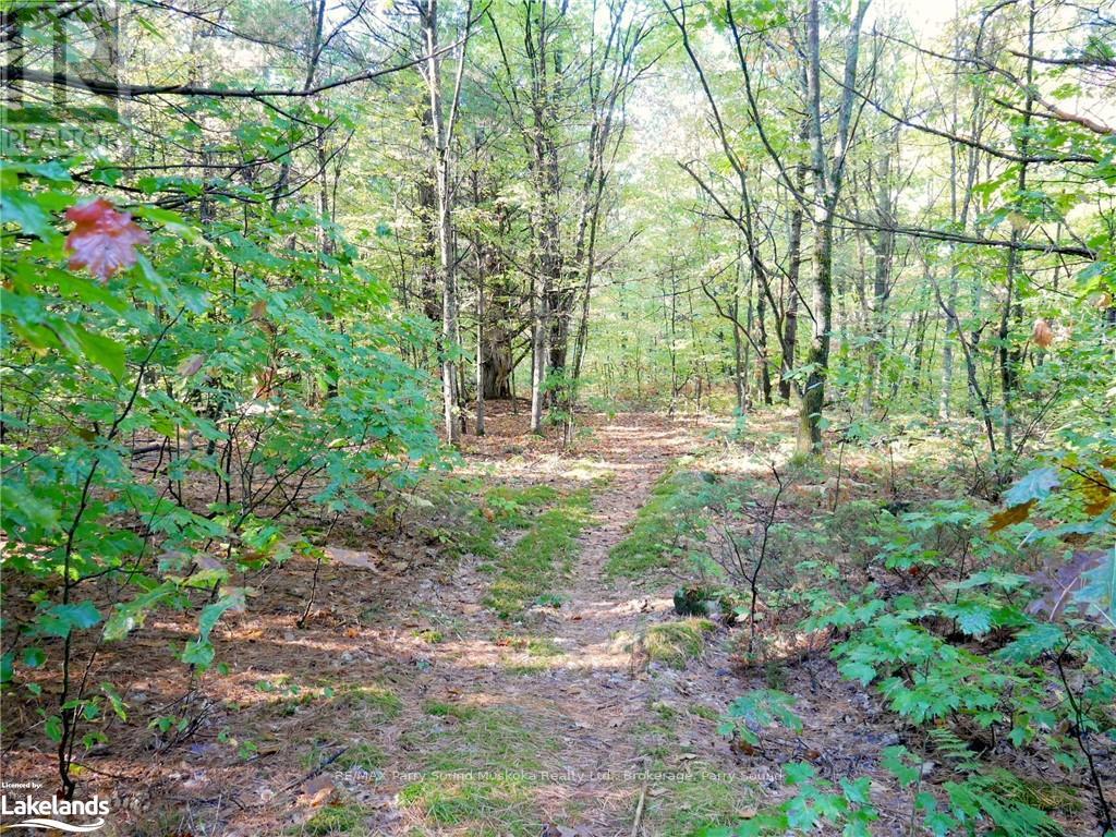 0 518, Seguin, Ontario  P2A 0B6 - Photo 2 - X10439338