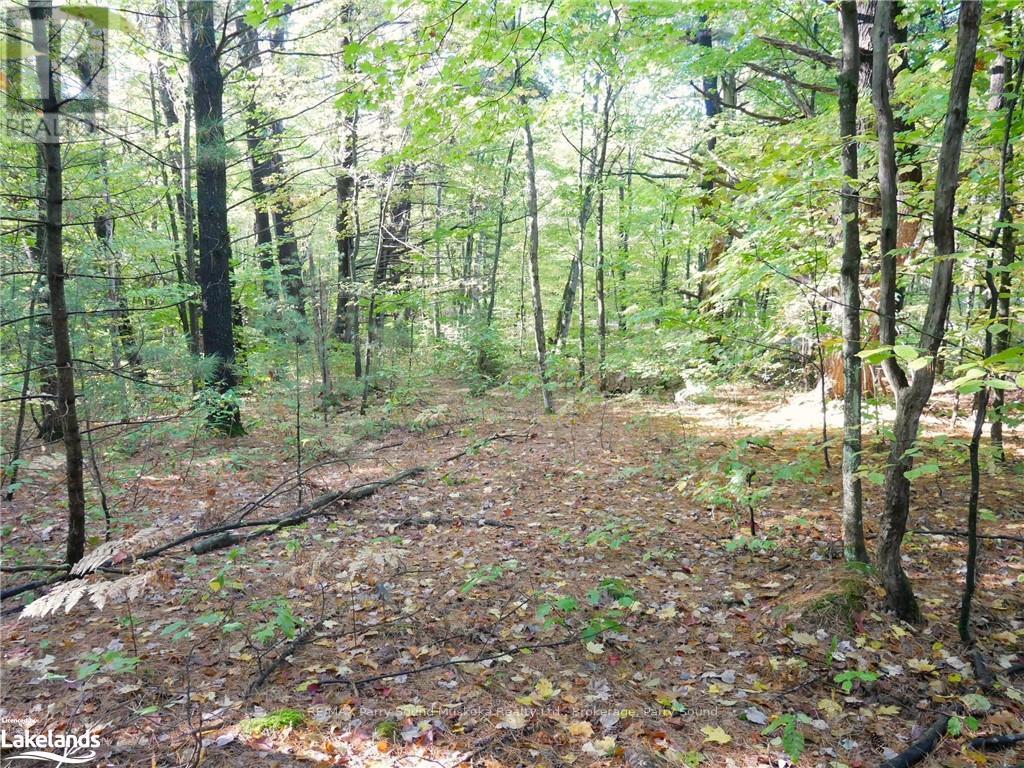 0 518, Seguin, Ontario  P2A 0B6 - Photo 4 - X10439338