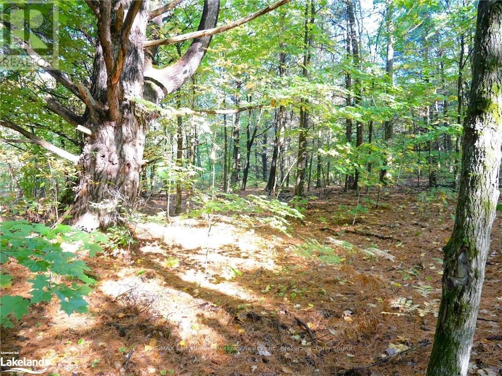 0 518, Seguin, Ontario  P2A 0B6 - Photo 5 - X10439338