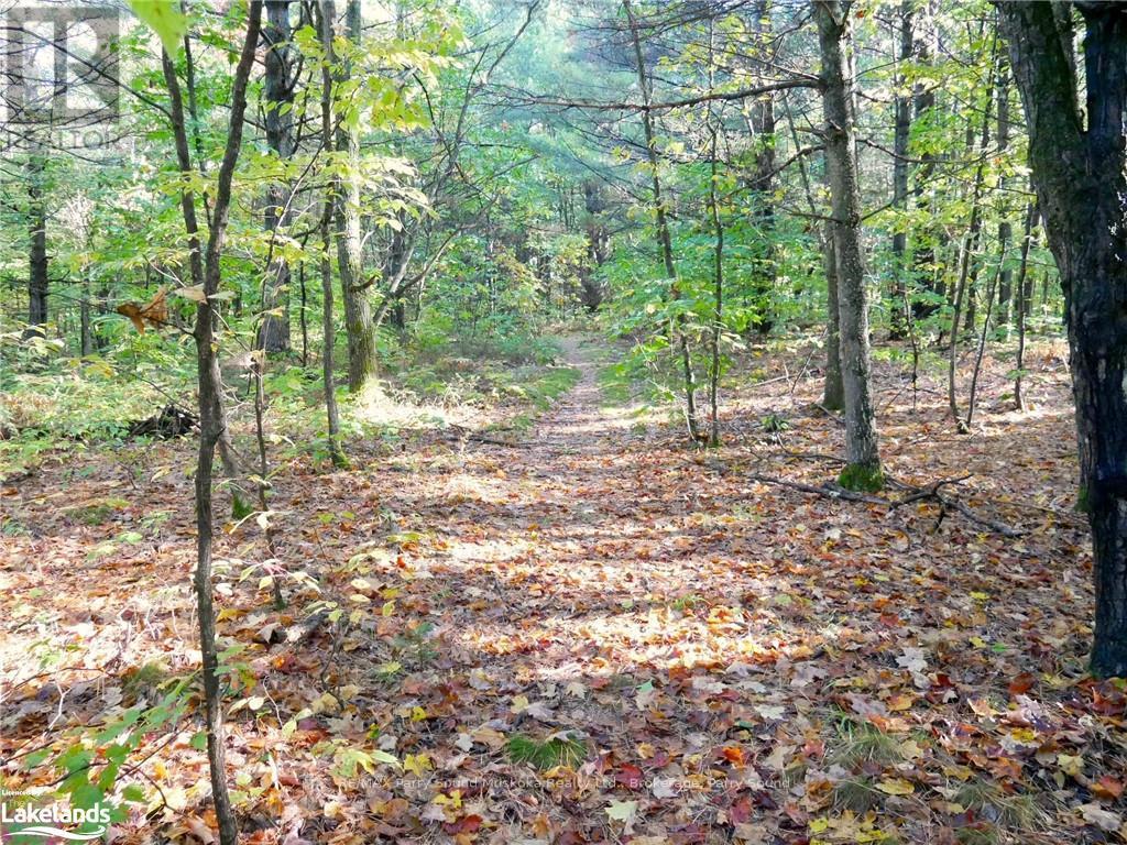 0 518, Seguin, Ontario  P2A 0B6 - Photo 7 - X10439338