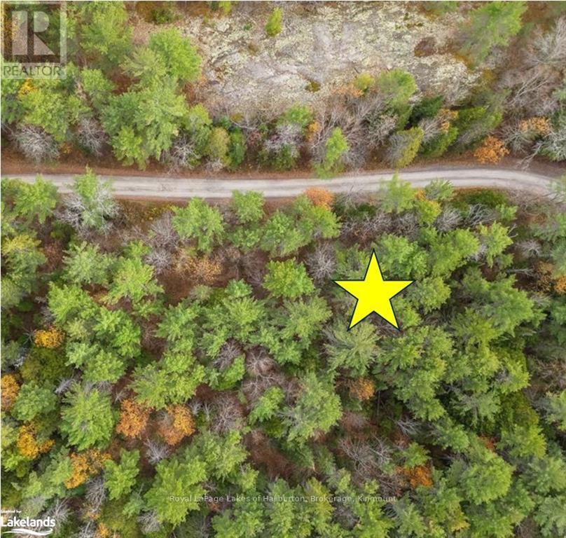 Beside 314 Clear Bay Road W, Galway-Cavendish And Harvey, Ontario  K0M 2A0 - Photo 11 - X10439353