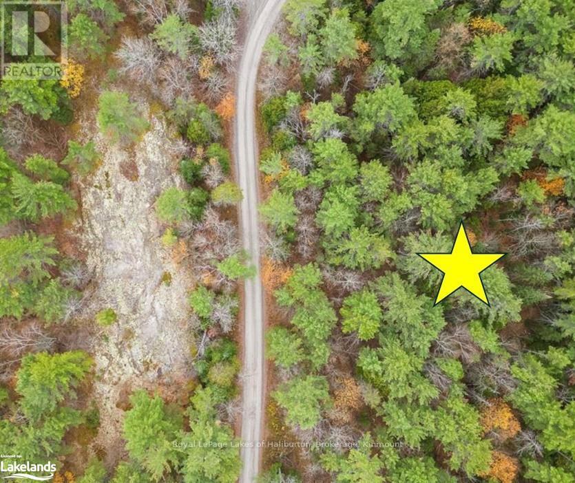 Beside 314 Clear Bay Road W, Galway-Cavendish And Harvey, Ontario  K0M 2A0 - Photo 12 - X10439353