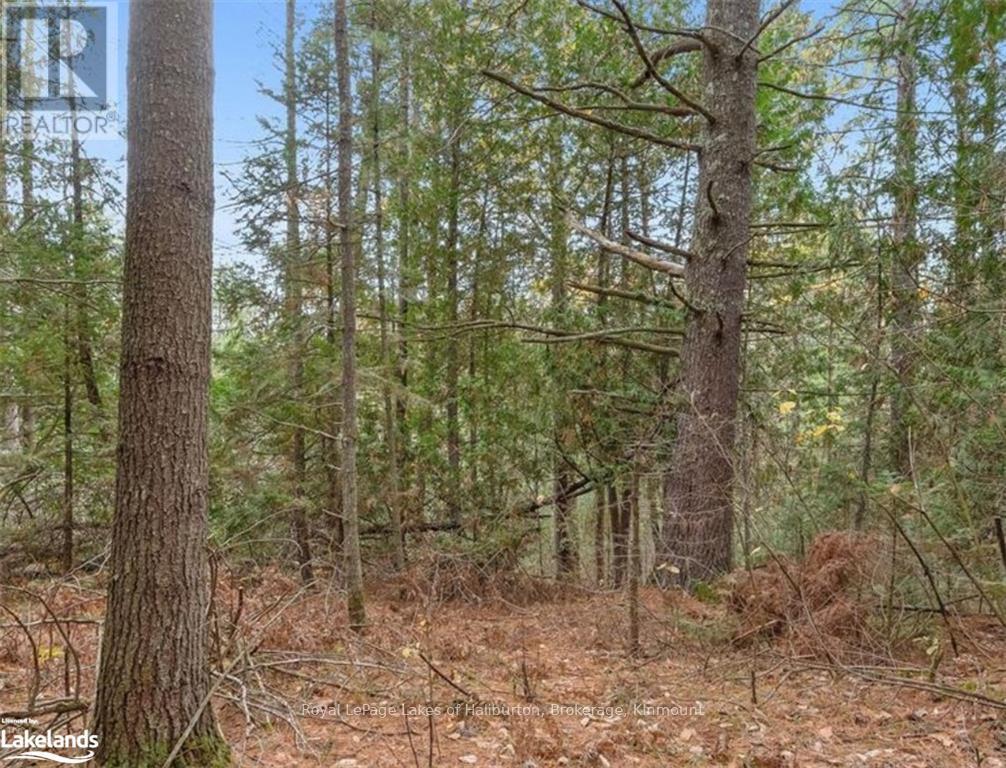 Beside 314 Clear Bay Road W, Galway-Cavendish And Harvey, Ontario  K0M 2A0 - Photo 18 - X10439353