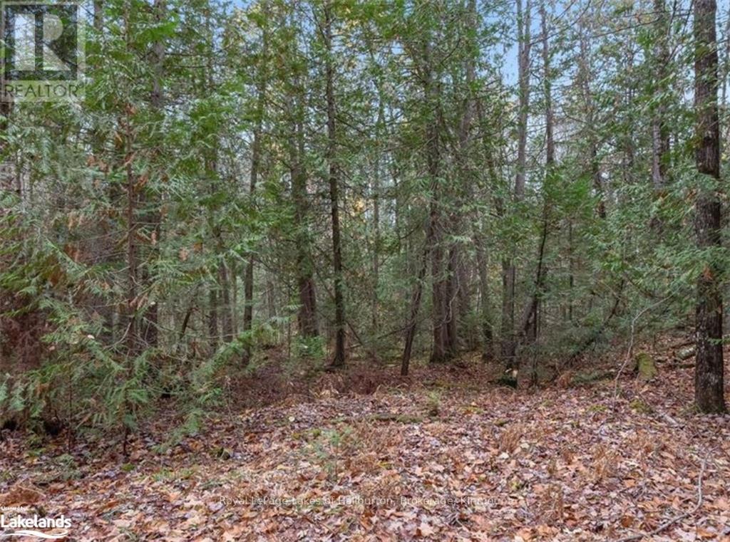 Beside 314 Clear Bay Road W, Galway-Cavendish And Harvey, Ontario  K0M 2A0 - Photo 19 - X10439353