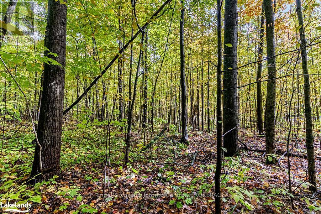 Lot 5 Voyageur Drive, Tiny, Ontario  L9M 1R2 - Photo 11 - S10437379