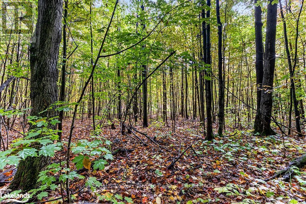 Lot 5 Voyageur Drive, Tiny, Ontario  L9M 1R2 - Photo 13 - S10437379