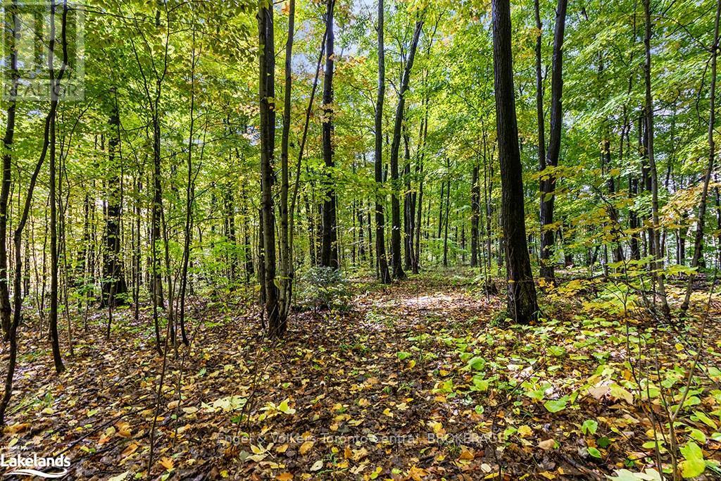 Lot 5 Voyageur Drive, Tiny, Ontario  L9M 1R2 - Photo 15 - S10437379