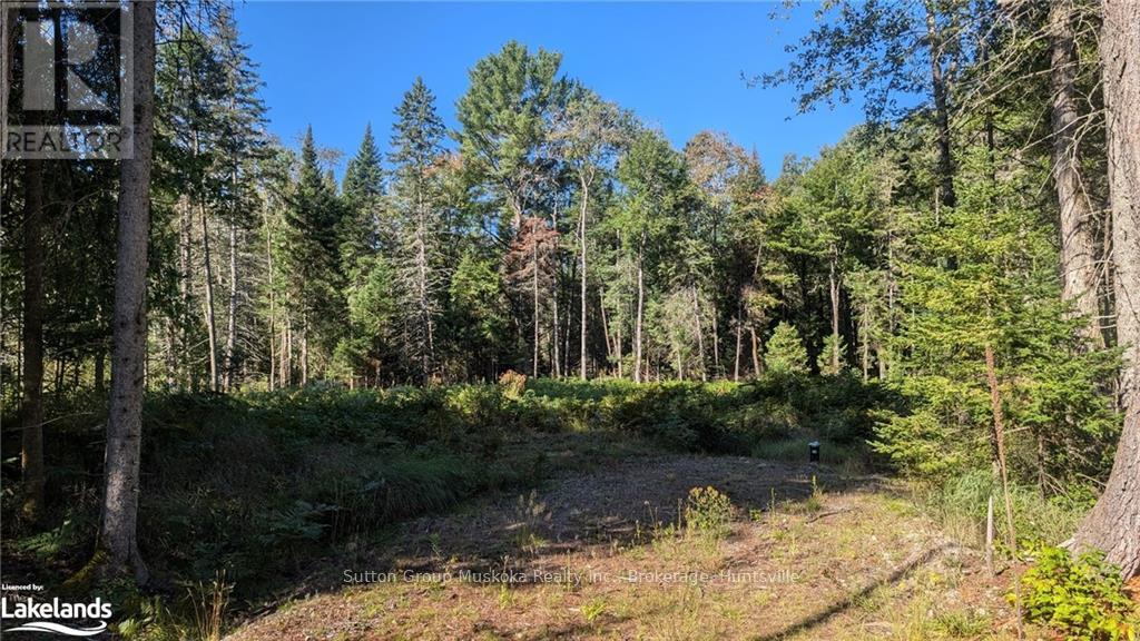 18 Crimson Lane, Huntsville, Ontario  P0B 1L0 - Photo 1 - X10437872