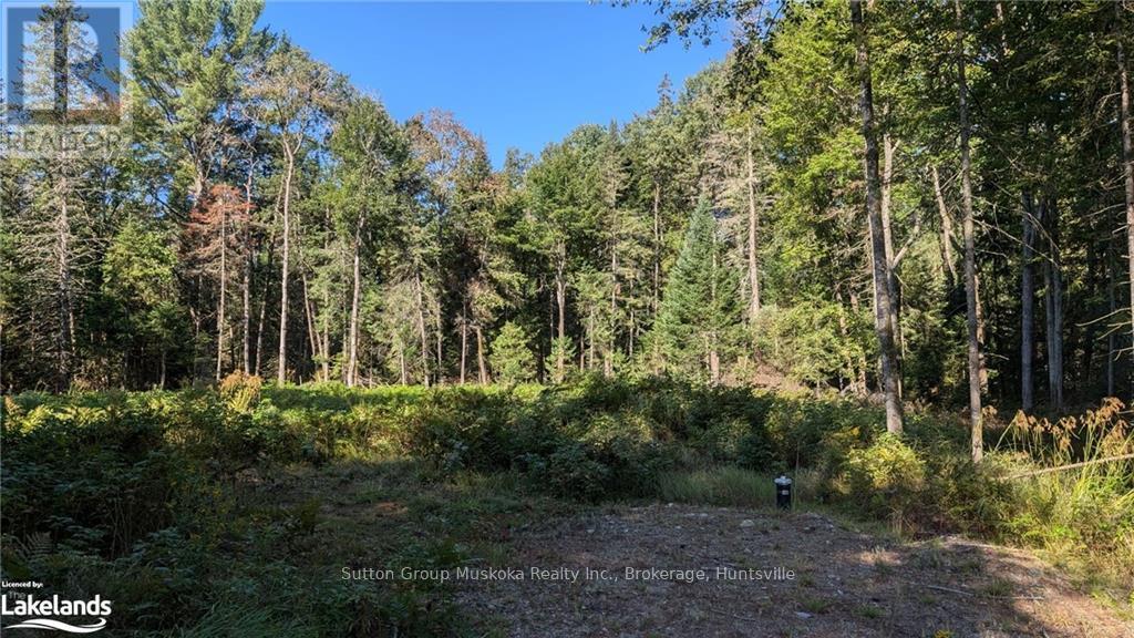 18 Crimson Lane, Huntsville, Ontario  P0B 1L0 - Photo 2 - X10437872