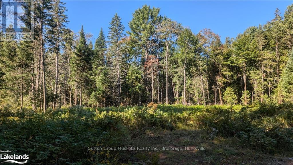 18 Crimson Lane, Huntsville, Ontario  P0B 1L0 - Photo 3 - X10437872