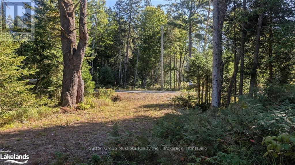 18 Crimson Lane, Huntsville, Ontario  P0B 1L0 - Photo 6 - X10437872
