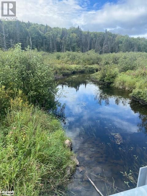 573 MUSKOKA ROAD, Strong, Ontario