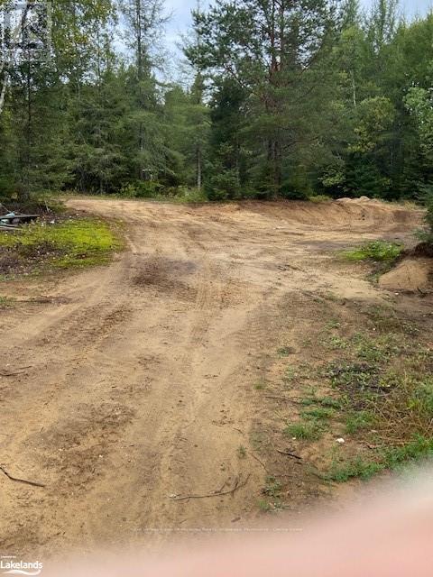 573 Muskoka Road, Strong, Ontario  P0A 1Z0 - Photo 10 - X10439375