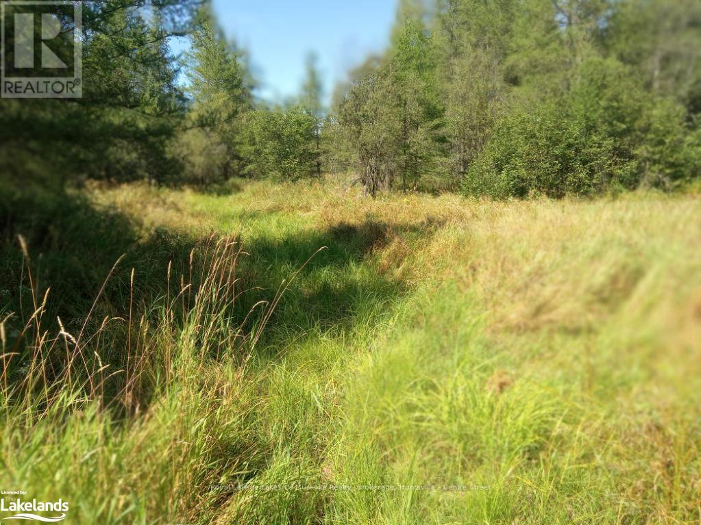 573 Muskoka Road, Strong, Ontario  P0A 1Z0 - Photo 13 - X10439375