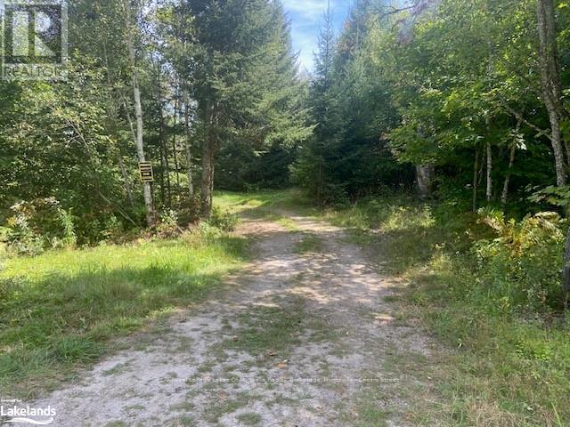 573 Muskoka Road, Strong, Ontario  P0A 1Z0 - Photo 40 - X10439375