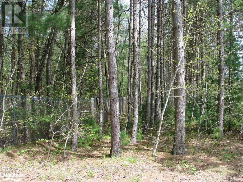 Con 1 Sunnidale Tosorontio, Clearview, Ontario  L0M 1N0 - Photo 14 - S10440105