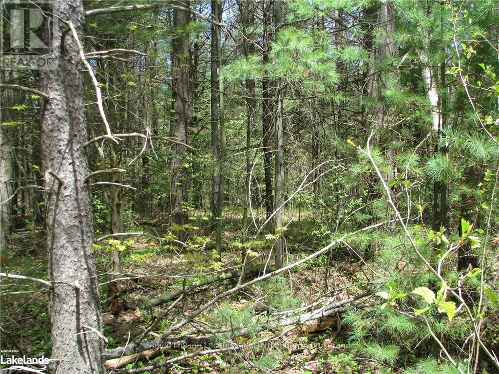 Con 1 Sunnidale Tosorontio, Clearview, Ontario  L0M 1N0 - Photo 3 - S10440105