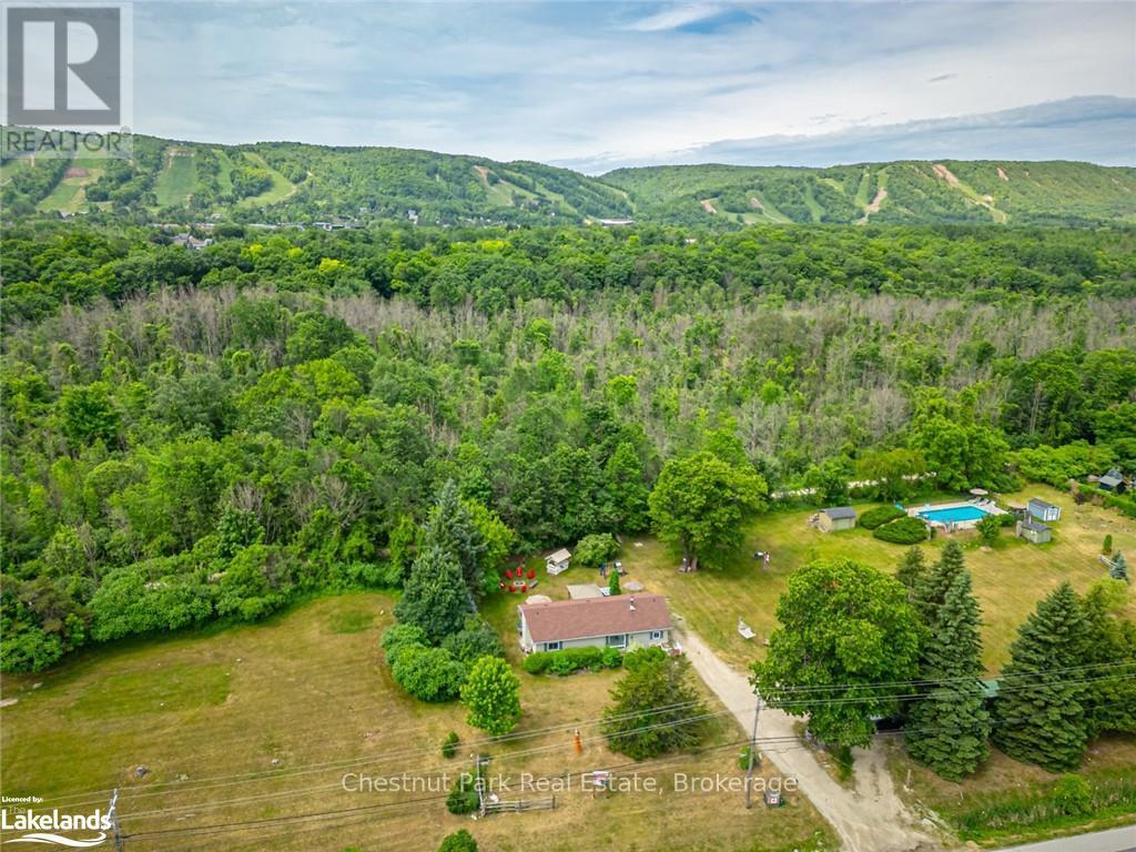 209548 Highway 26, Blue Mountains (Blue Mountain Resort Area), Ontario  L9Y 0T1 - Photo 38 - X10438674