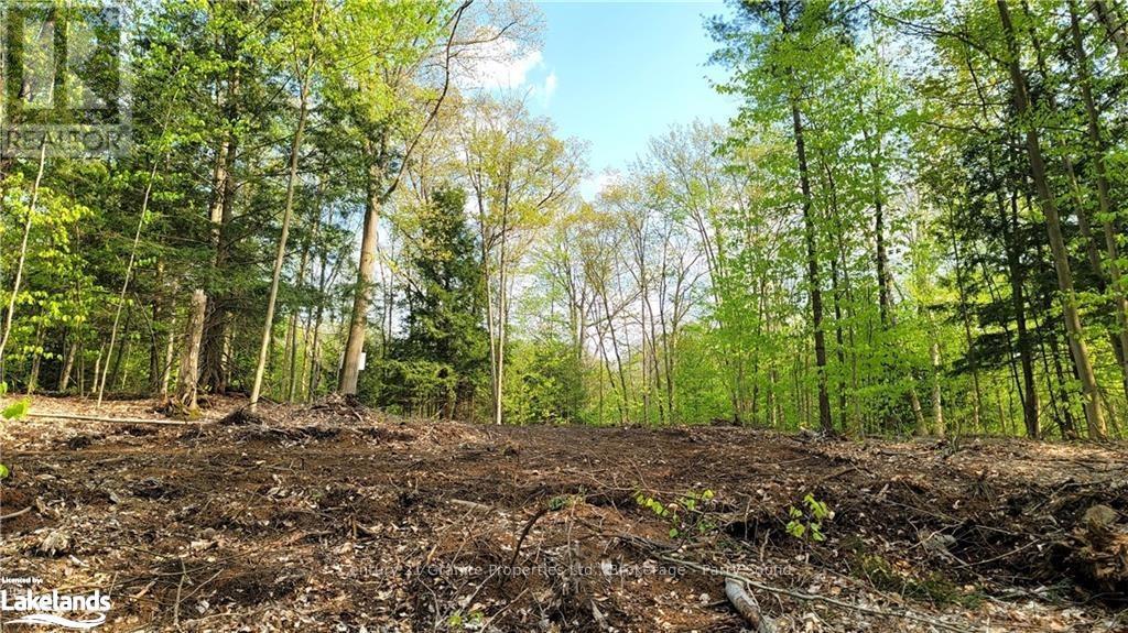 Lot 3 Louisa Street, Parry Sound, Ontario  P2A 3C1 - Photo 11 - X10438948
