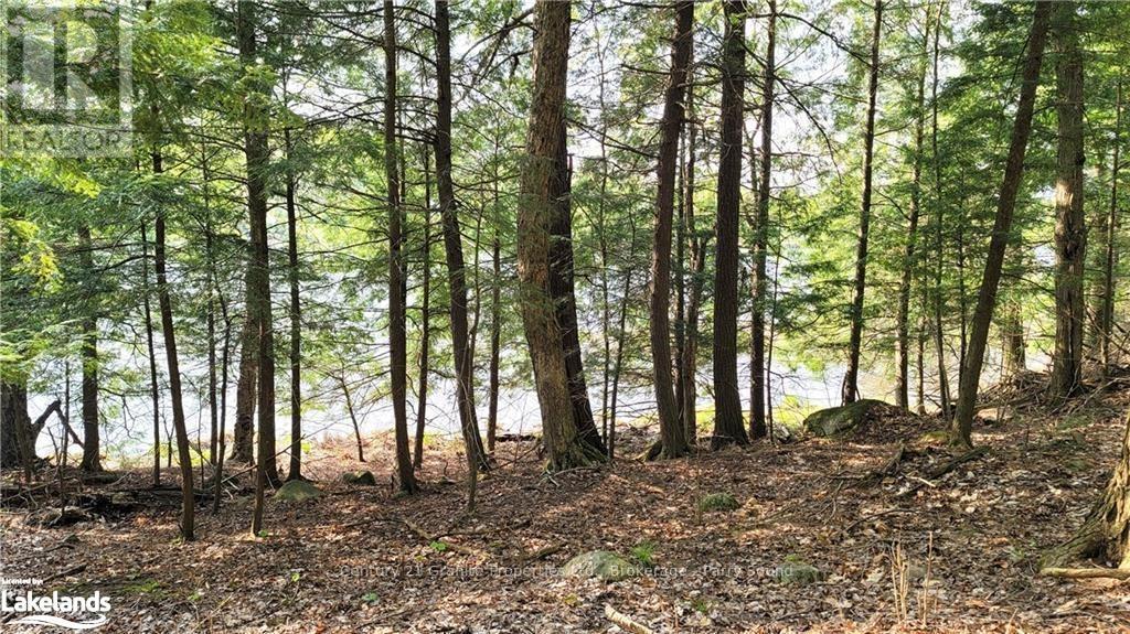 Lot 3 Louisa Street, Parry Sound, Ontario  P2A 3C1 - Photo 7 - X10438948
