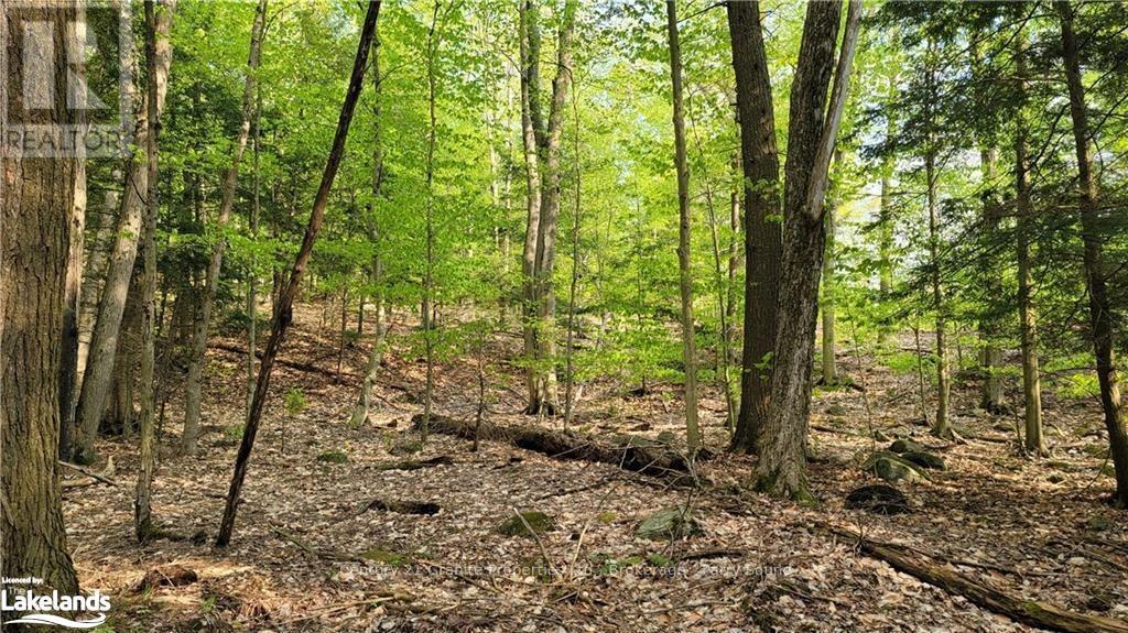 Lot 3 Louisa Street, Parry Sound, Ontario  P2A 3C1 - Photo 9 - X10438948