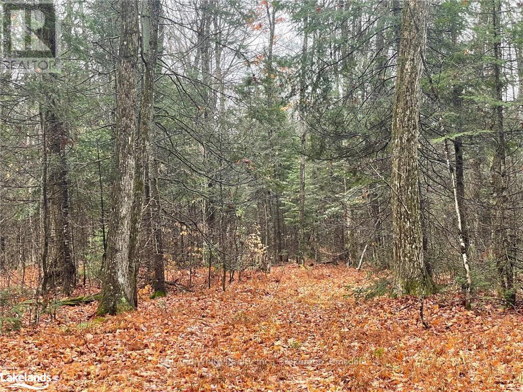 4236 Highway 518 W, Mcmurrich/monteith, Ontario  P0A 1Y0 - Photo 24 - X10438773