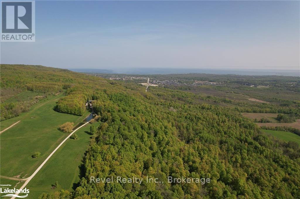609669 12th Side Road, Blue Mountains (Blue Mountain Resort Area), Ontario  L9Y 0P6 - Photo 3 - X10439757
