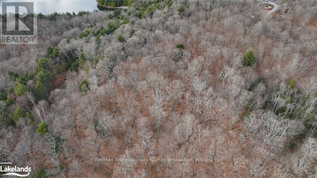 0 Liswood Road, Dysart Et Al, Ontario  K0M 1S0 - Photo 10 - X10439794