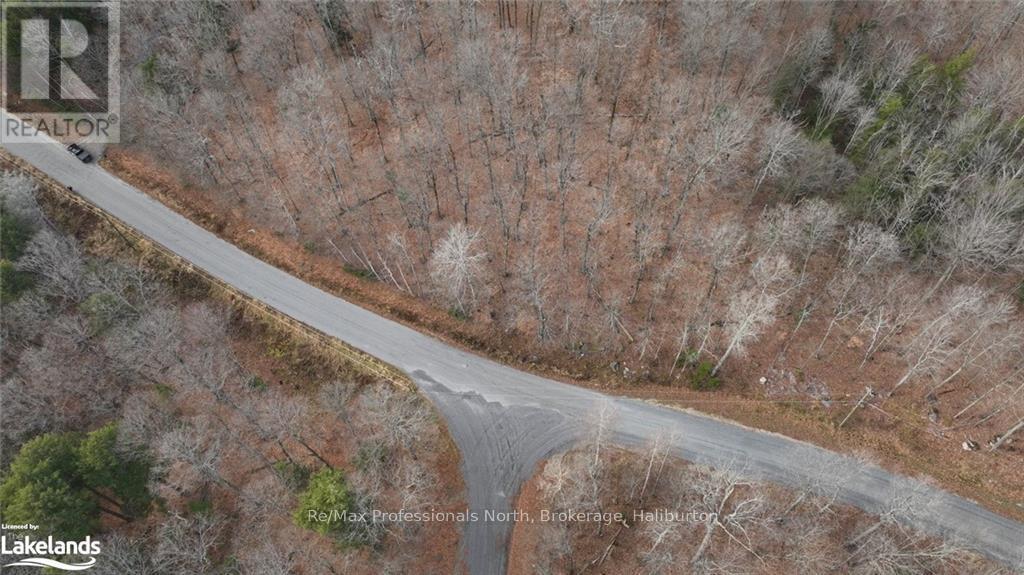 0 Liswood Road, Dysart Et Al, Ontario  K0M 1S0 - Photo 11 - X10439794