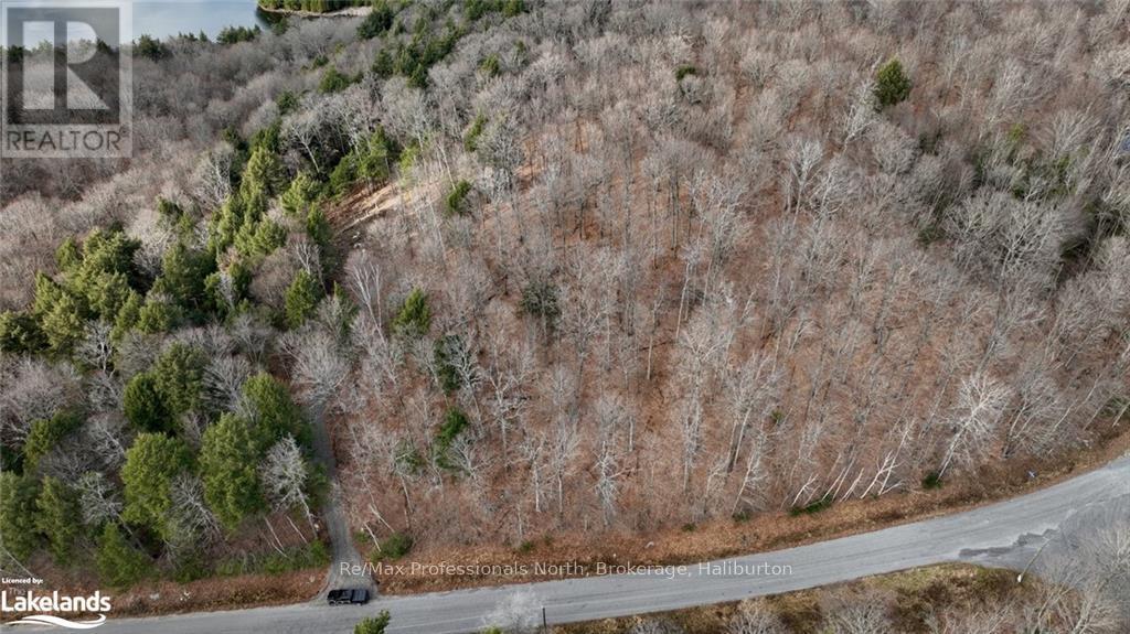 0 Liswood Road, Dysart Et Al, Ontario  K0M 1S0 - Photo 13 - X10439794