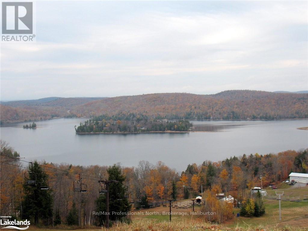 0 Liswood Road, Dysart Et Al, Ontario  K0M 1S0 - Photo 14 - X10439794