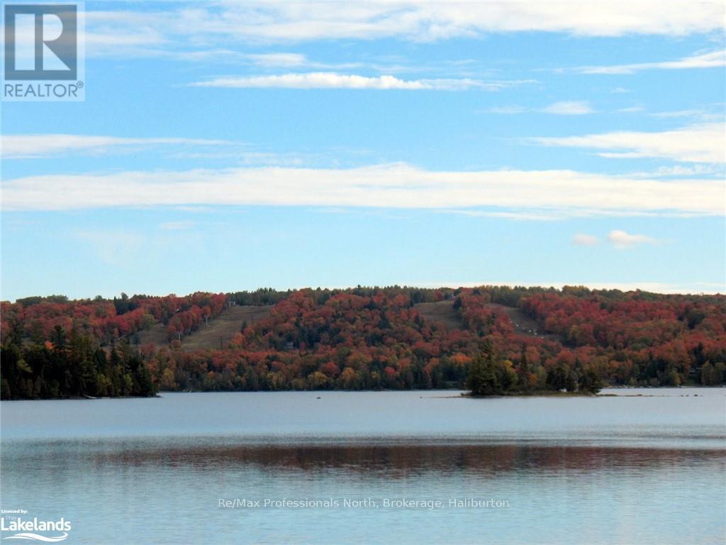 0 Liswood Road, Dysart Et Al, Ontario  K0M 1S0 - Photo 18 - X10439794