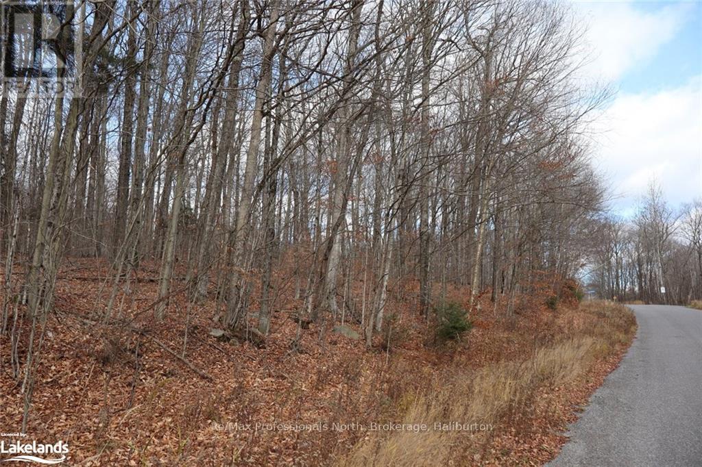 0 Liswood Road, Dysart Et Al, Ontario  K0M 1S0 - Photo 2 - X10439794