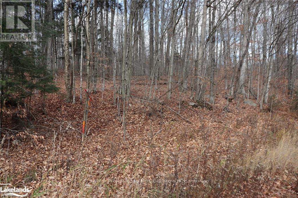 0 Liswood Road, Dysart Et Al, Ontario  K0M 1S0 - Photo 3 - X10439794