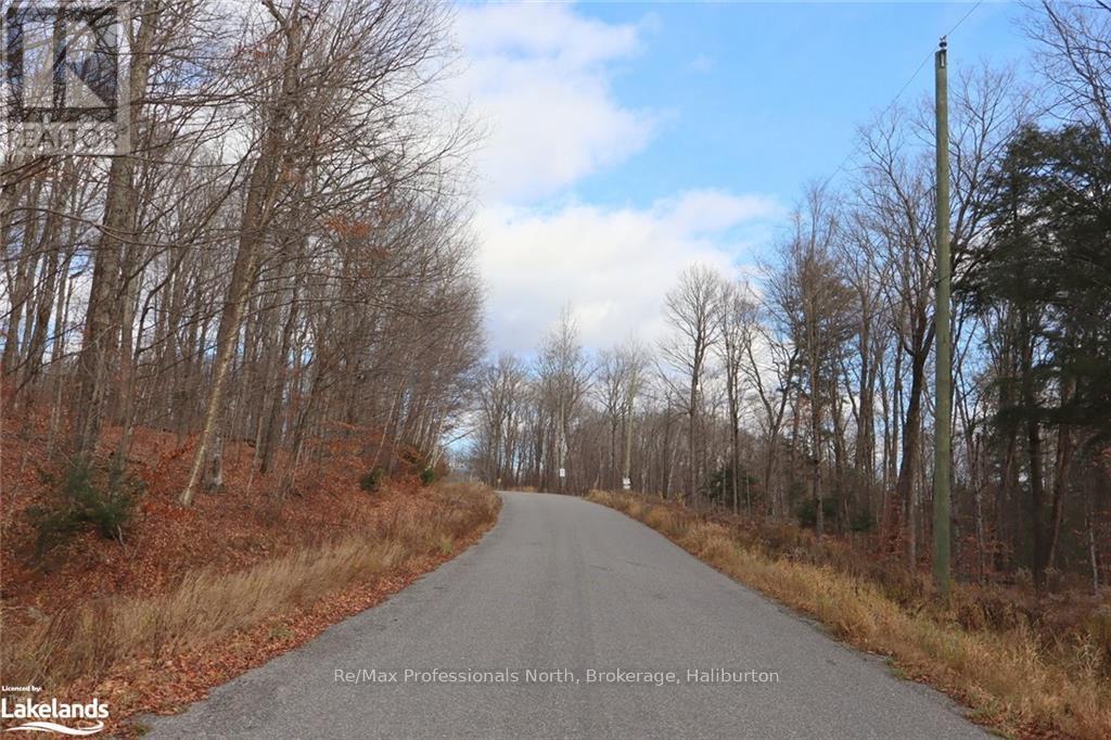 0 Liswood Road, Dysart Et Al, Ontario  K0M 1S0 - Photo 4 - X10439794