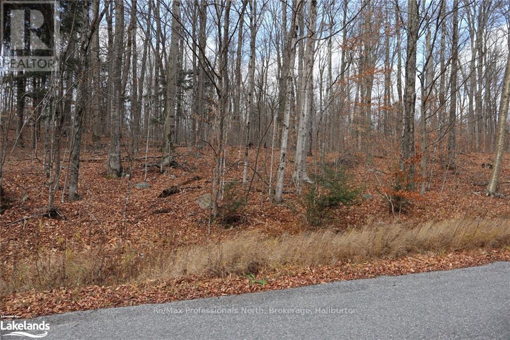 0 Liswood Road, Dysart Et Al, Ontario  K0M 1S0 - Photo 5 - X10439794