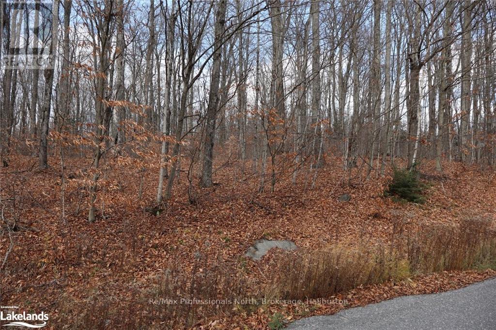 0 Liswood Road, Dysart Et Al, Ontario  K0M 1S0 - Photo 6 - X10439794