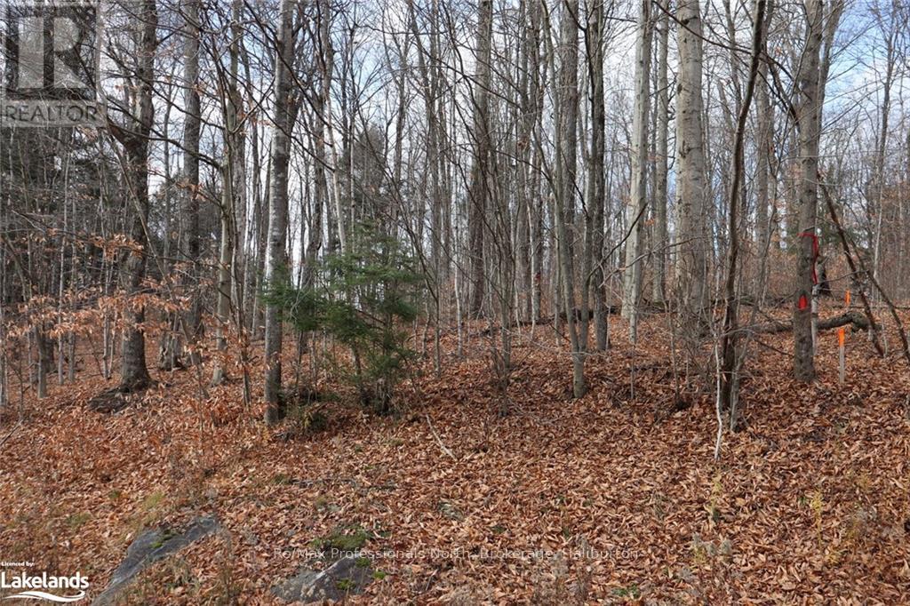 0 Liswood Road, Dysart Et Al, Ontario  K0M 1S0 - Photo 7 - X10439794