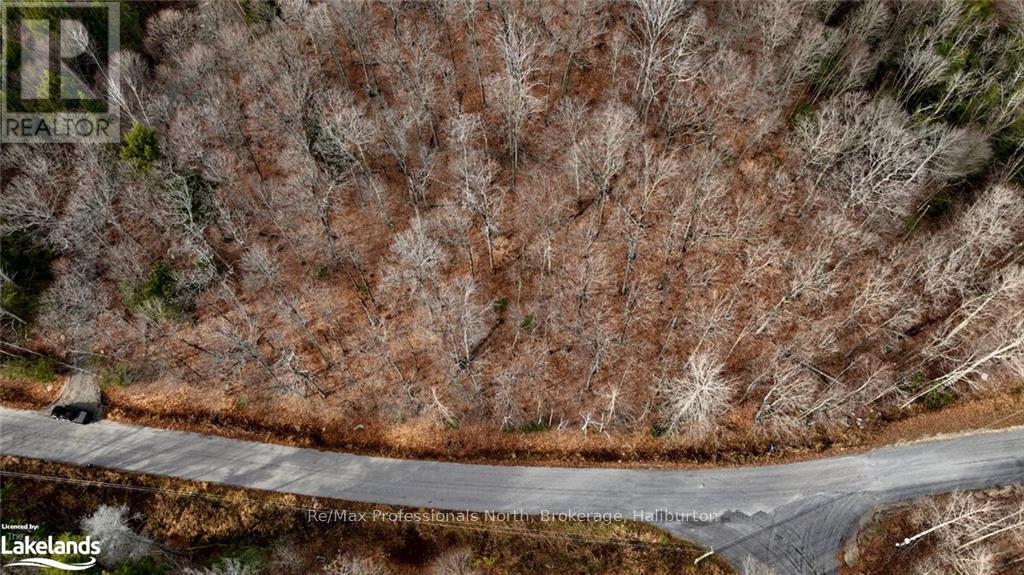 0 Liswood Road, Dysart Et Al, Ontario  K0M 1S0 - Photo 9 - X10439794