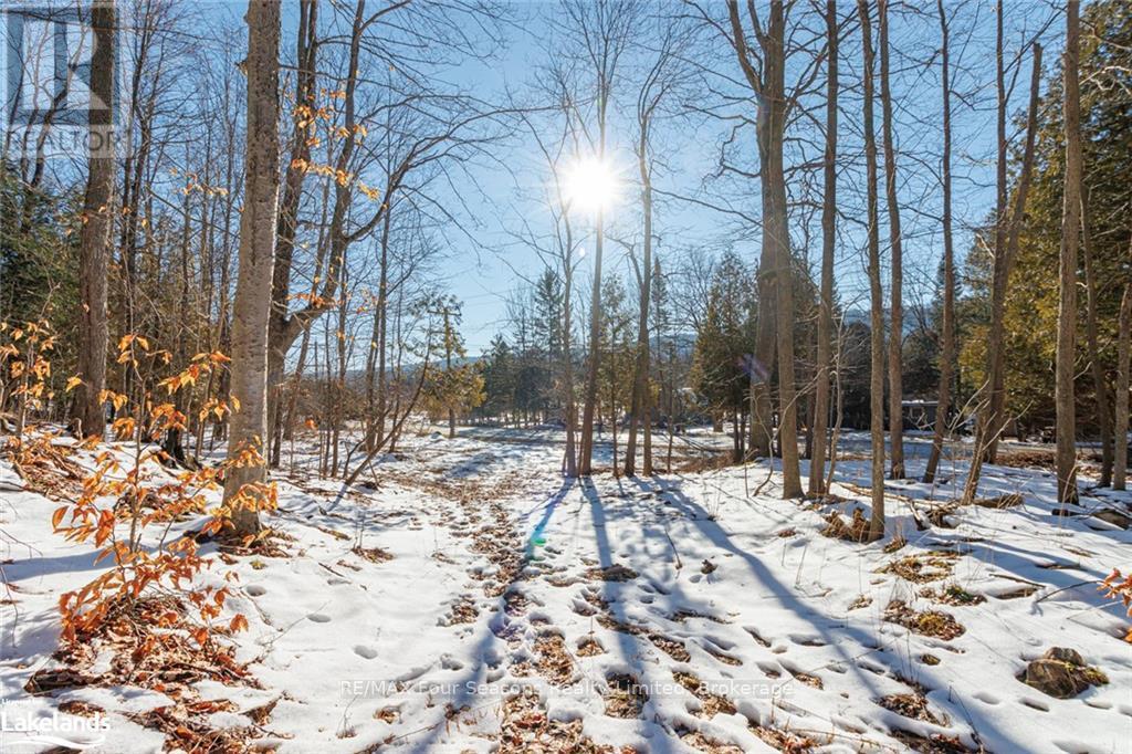 Part Lot 25 Grey Road 30, Grey Highlands, Ontario  N0C 1H0 - Photo 15 - X10439859