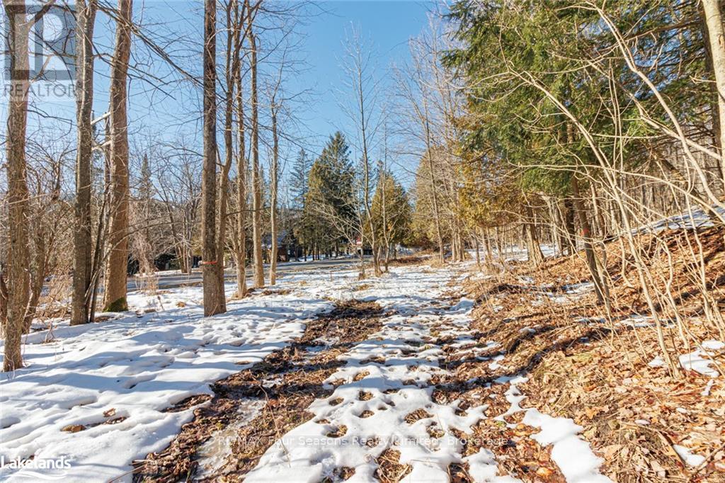 Part Lot 25 Grey Road 30, Grey Highlands, Ontario  N0C 1H0 - Photo 17 - X10439859