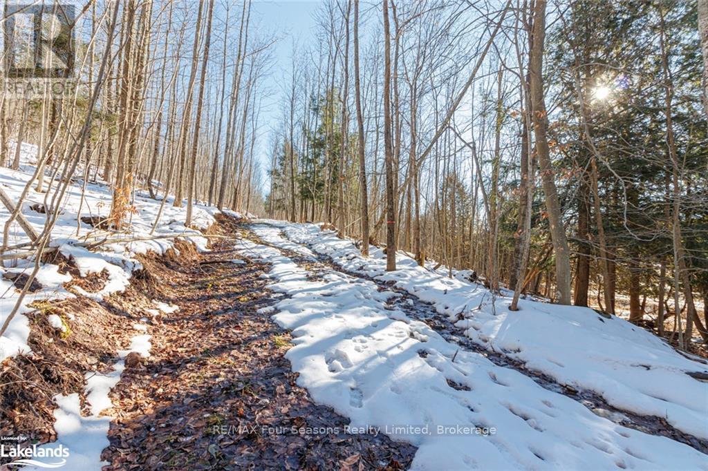 Part Lot 25 Grey Road 30, Grey Highlands, Ontario  N0C 1H0 - Photo 19 - X10439859
