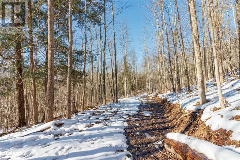 Part Lot 25 Grey Road 30, Grey Highlands, Ontario  N0C 1H0 - Photo 20 - X10439859