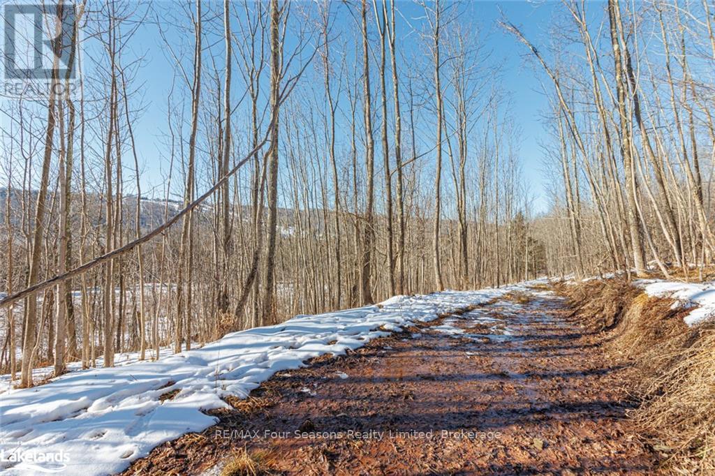 Part Lot 25 Grey Road 30, Grey Highlands, Ontario  N0C 1H0 - Photo 21 - X10439859